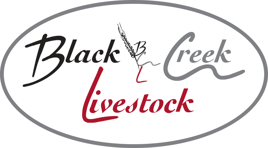 Black Creek Livestock