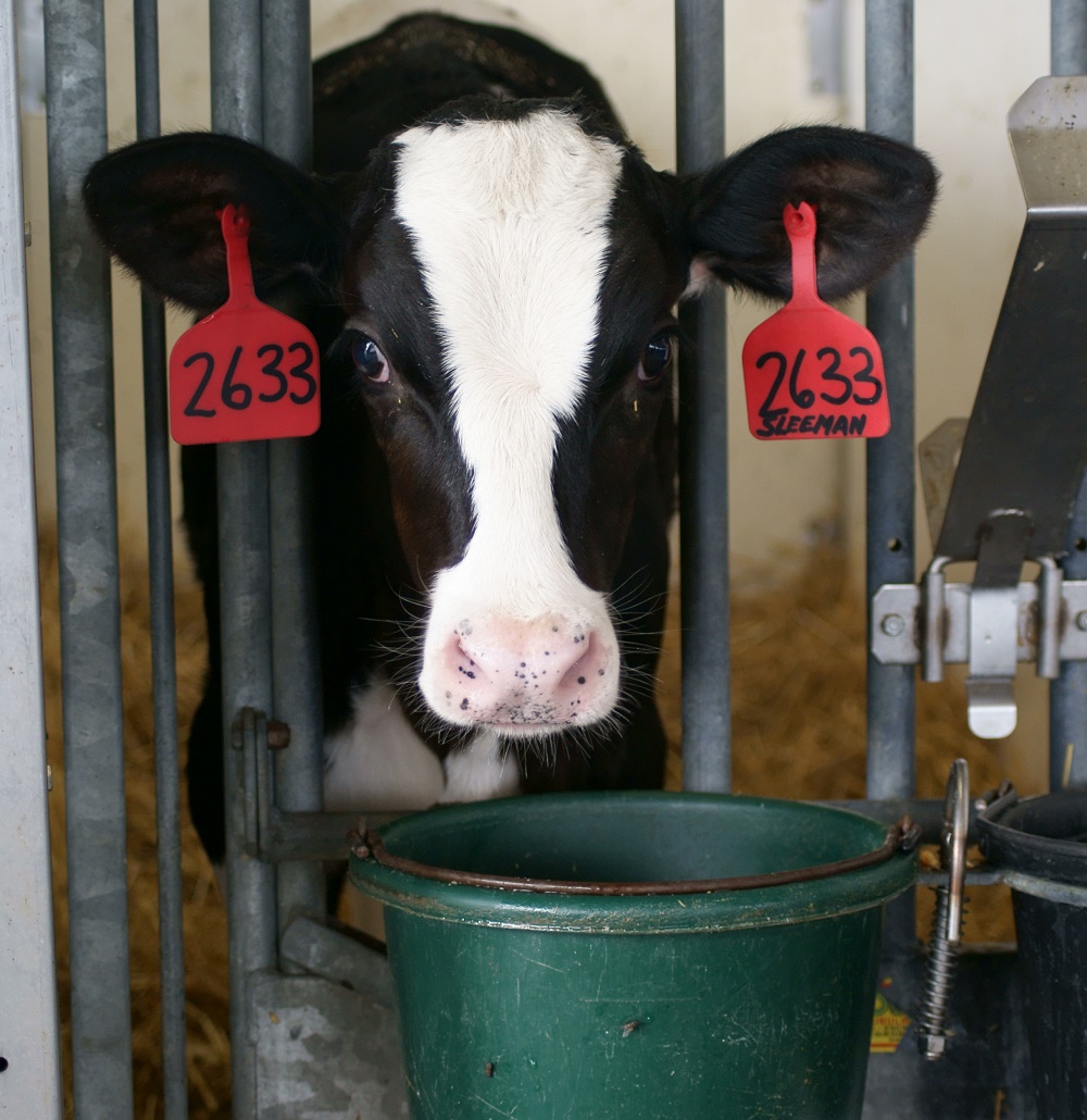 Specialty Feeds Jones Feed Mills Ltd.