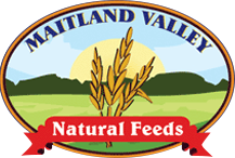 Maitland Valley Natural Feeds